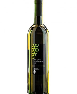 Greco Sannio doc Vinicola del Sannio