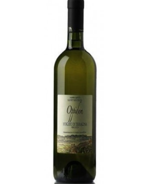 Oppidum Moscato secco di Terracina doc Sant Andrea